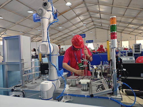 河南省第三屆職業技能大賽在開封開幕，技術服務引領未來